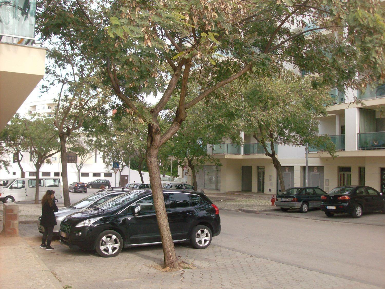 Appartement Pinheiro ポルティマン エクステリア 写真